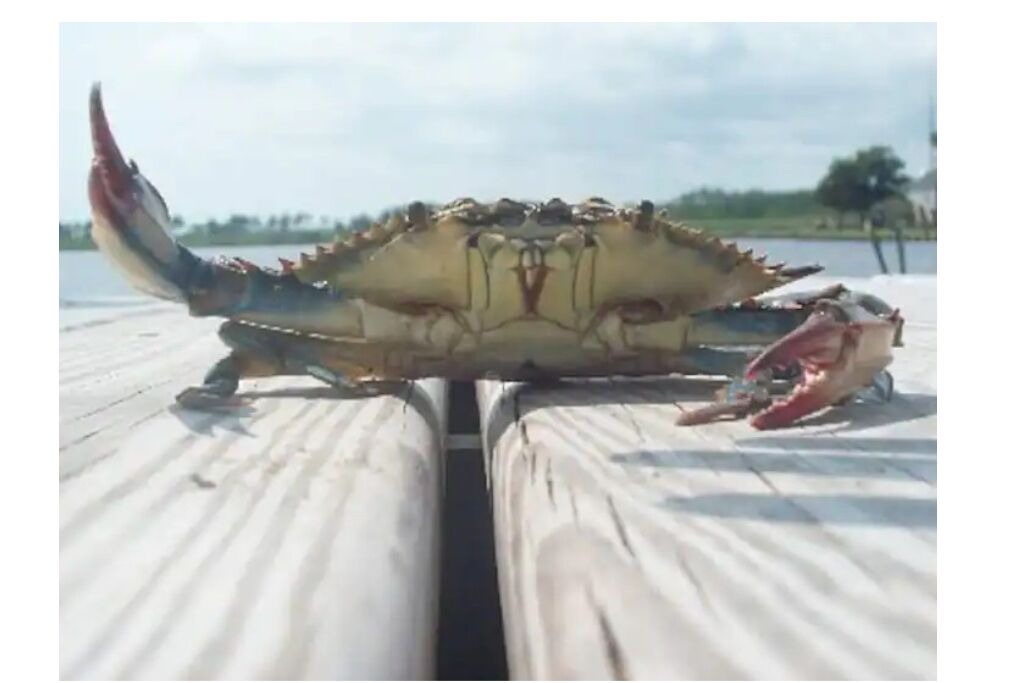 Photo of Others in Barco