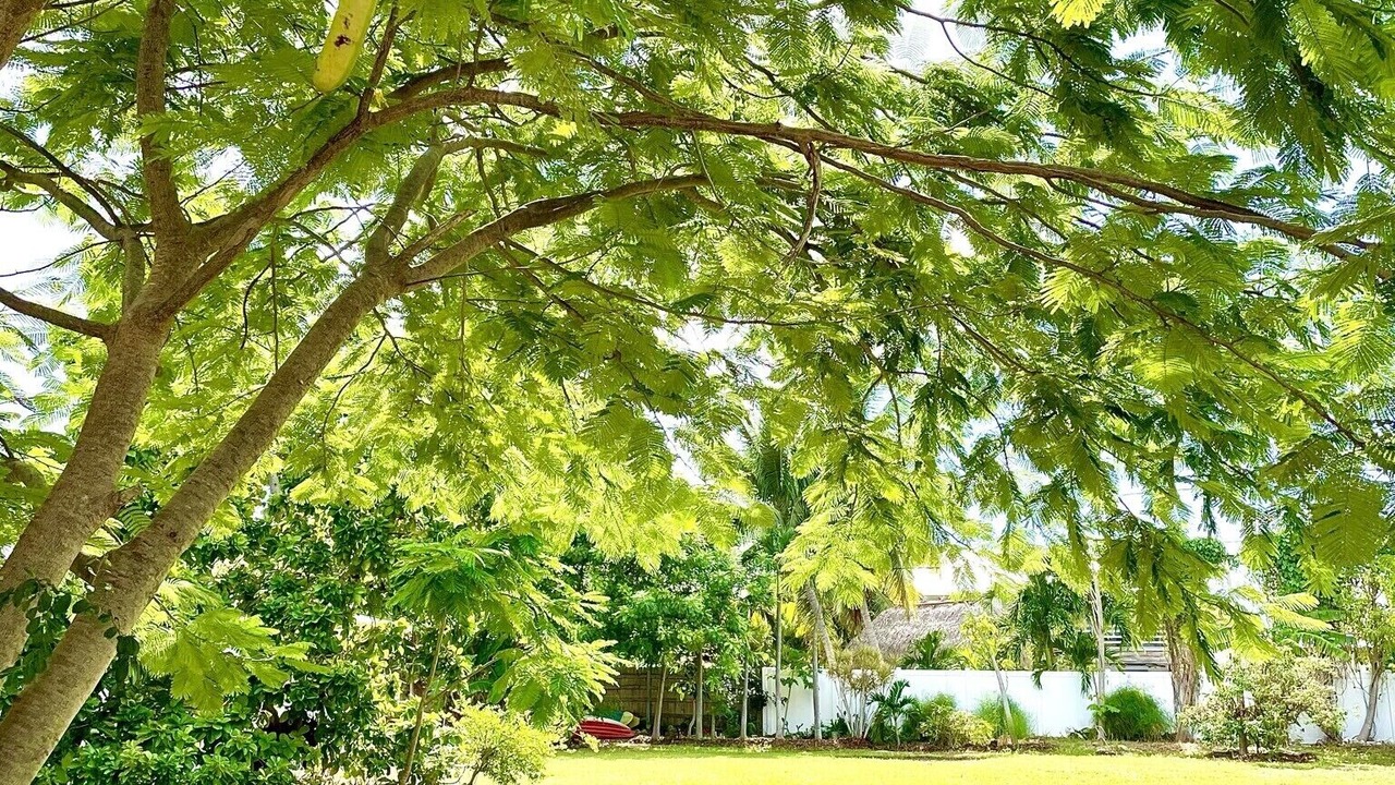 Photo of Outdoor in Summerland Key