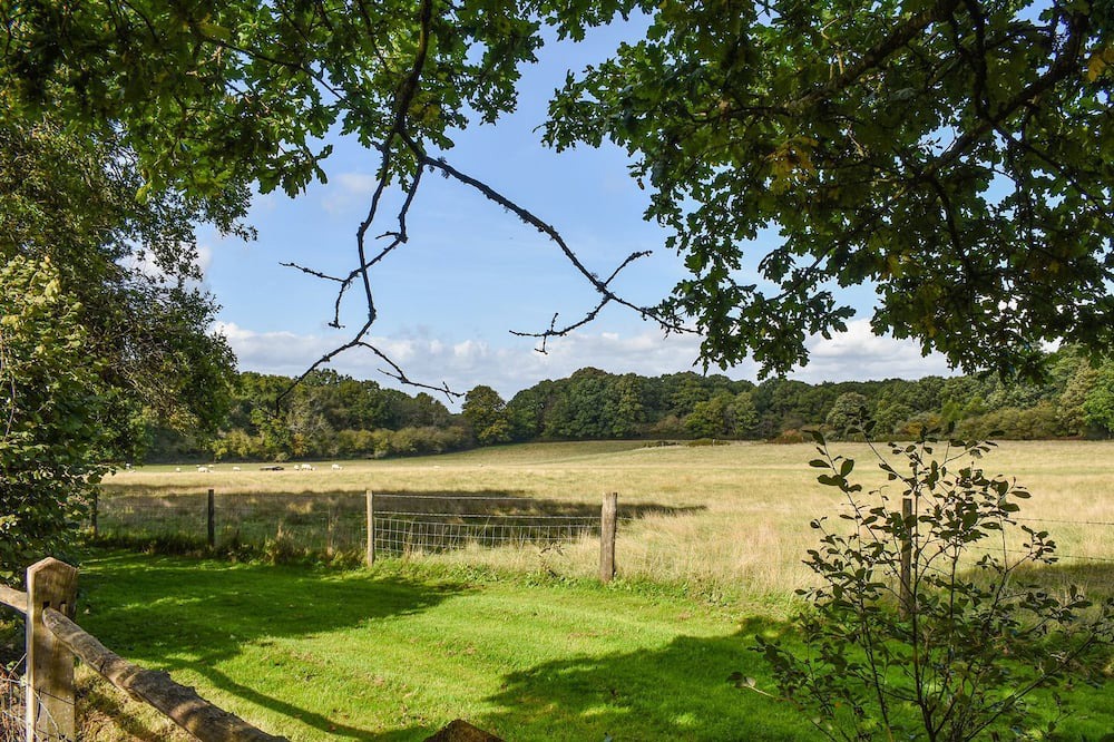 Photo of Outdoor in Ebernoe