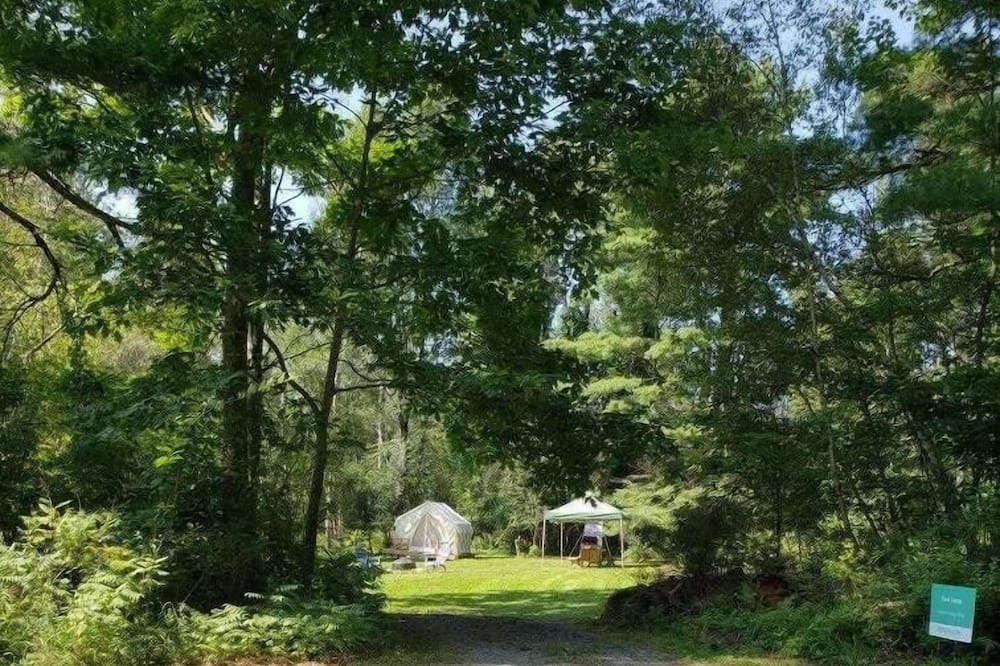 Photo of Others in Canaan