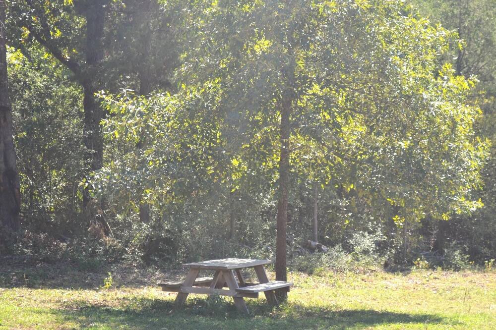 Photo of Others in Montalba