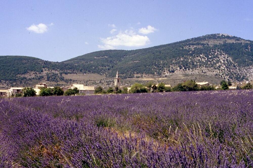 Photo of Outdoor in Pierrerue