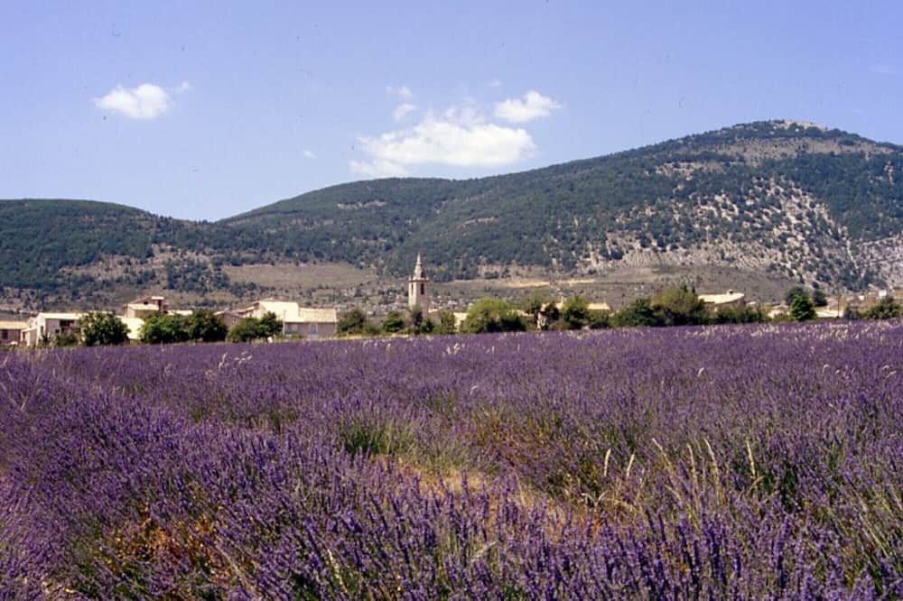 Photo of Outdoor in Pierrerue