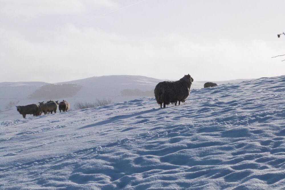 Photo of Others in Kelbrook