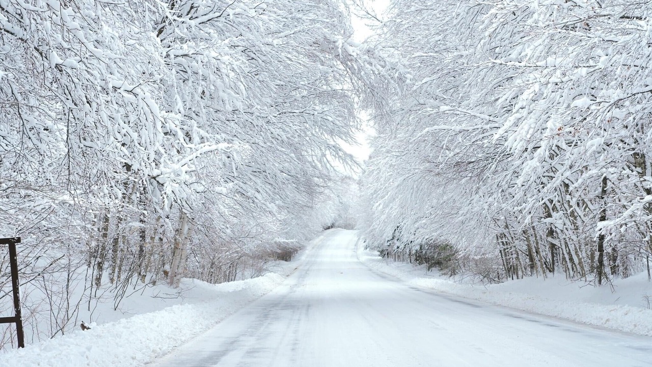 Photo of Outdoor in Wetmore