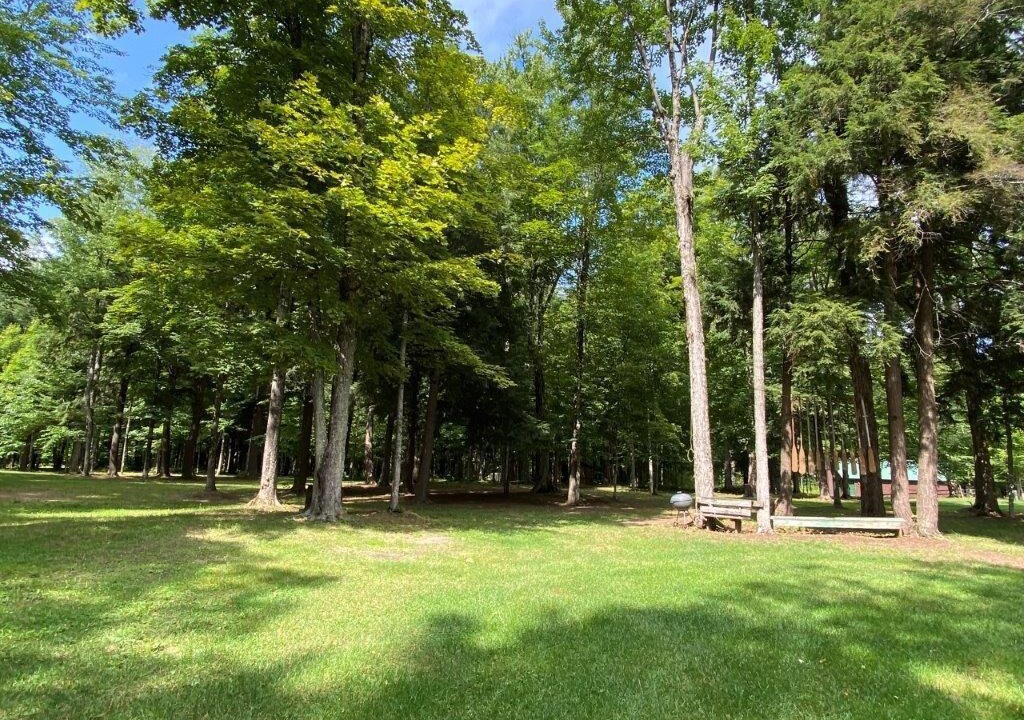 Photo of Outdoor in Wetmore