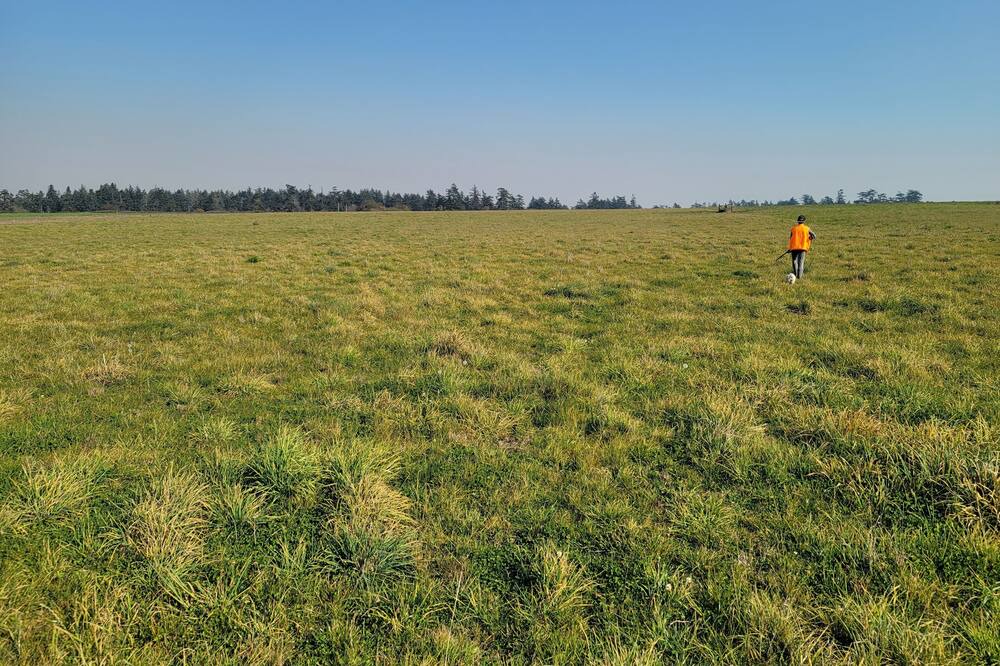 Photo of Outdoor in Oak Harbor