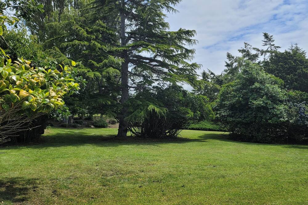 Photo of Outdoor in Oak Harbor