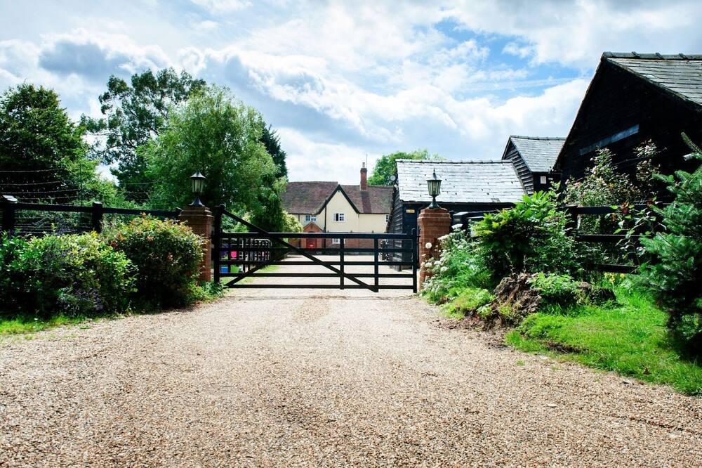 Photo of Others in Tea Green