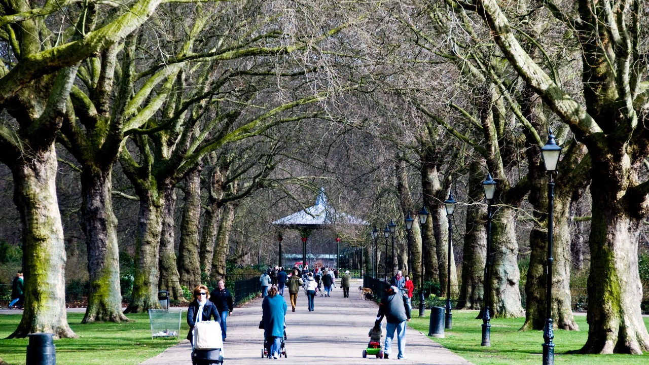 Photo of Outdoor in Sands End