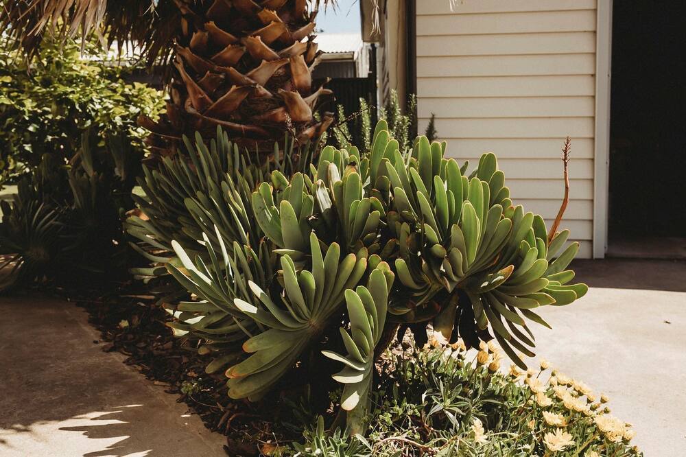 Photo of Outdoor in Oakura