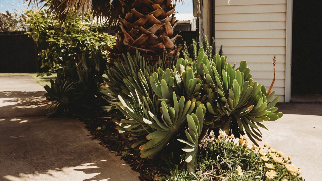 Photo of Outdoor in Oakura