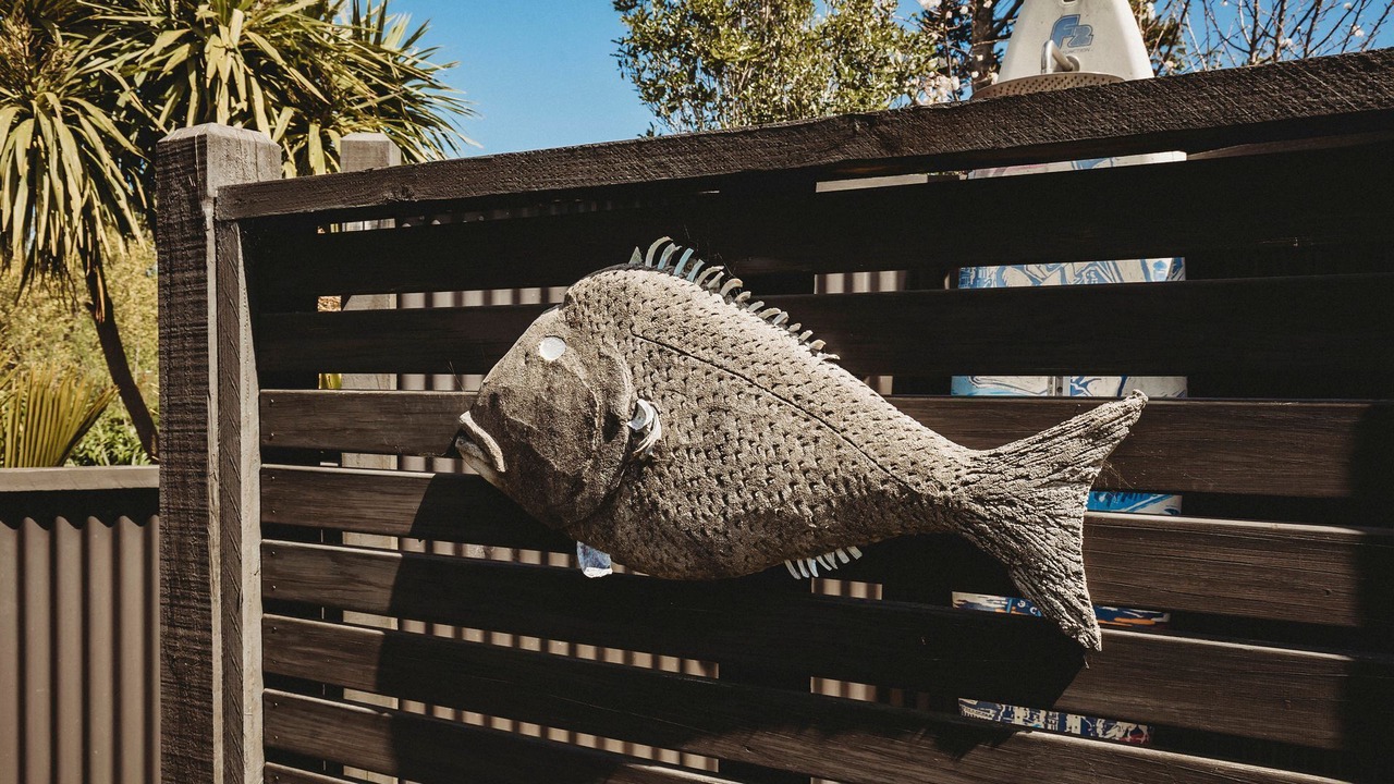 Photo of Outdoor in Oakura