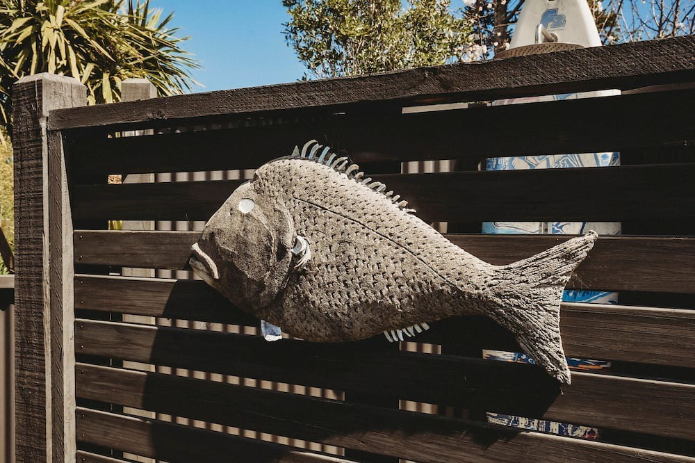 Photo of Outdoor in Oakura