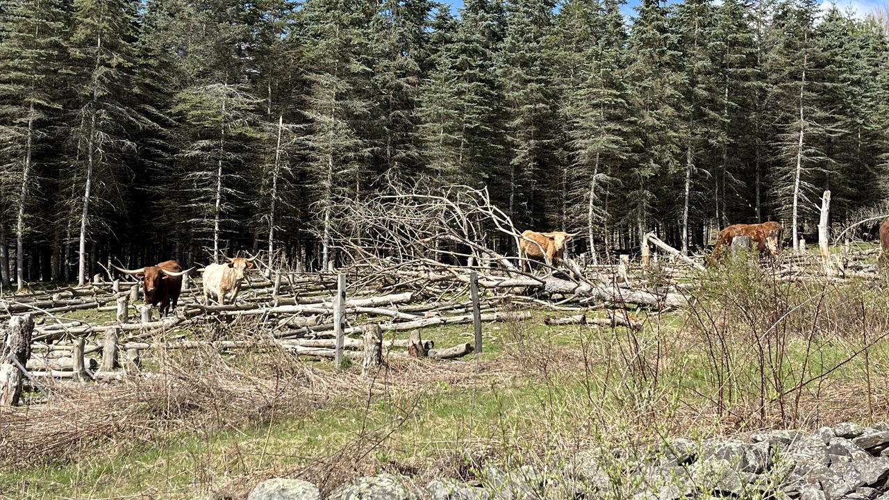 Photo of Outdoor in Davenport