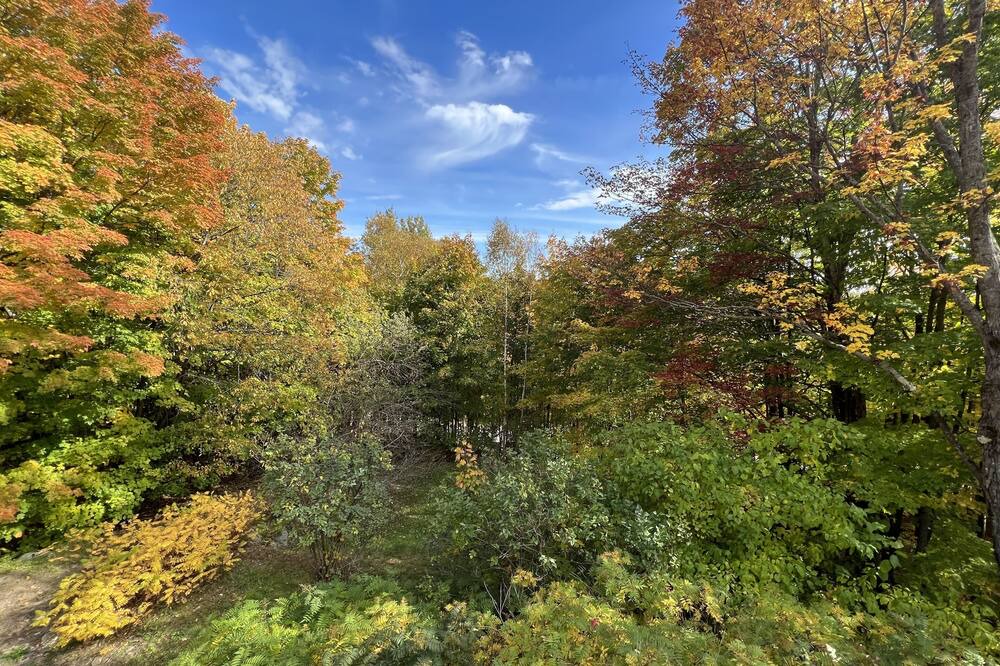 Photo of Outdoor in Sainte-Ann-des-Lacs