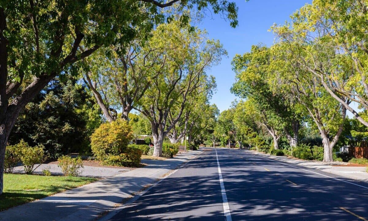 Photo of Outdoor in Palo Alto
