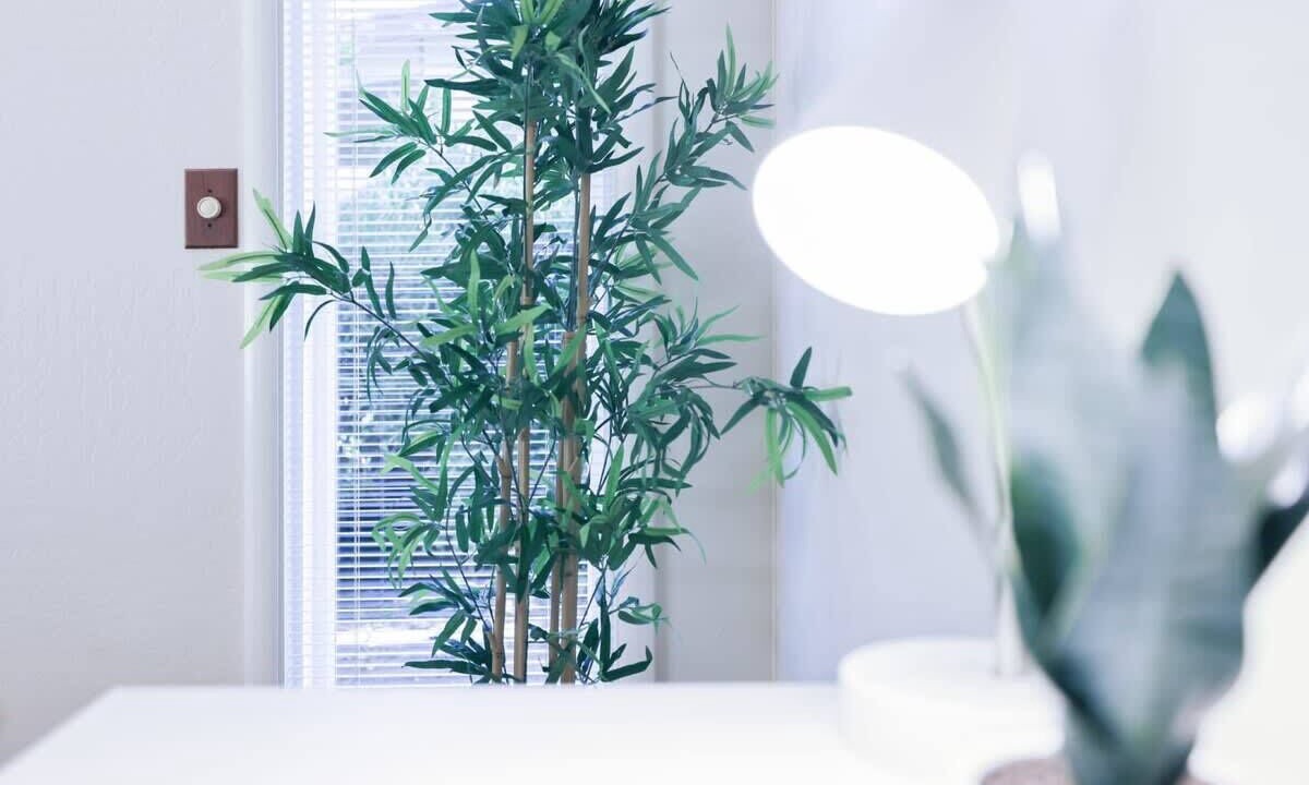 Photo of Others in Palo Alto