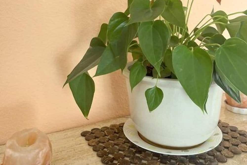 Photo of Others in Salses-le-Chateau