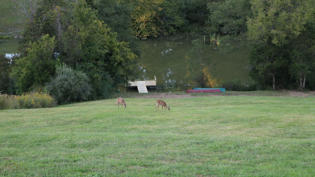 Photo of Others in Crittenden