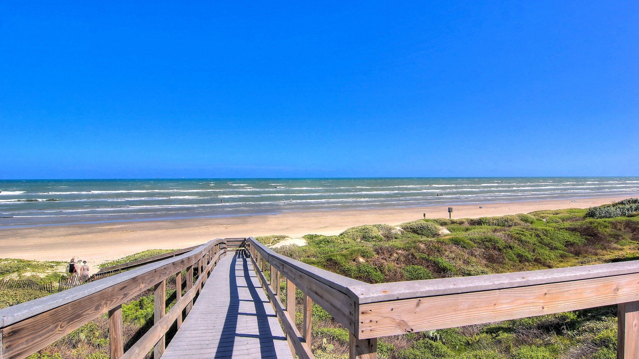 Photo of Others in Port Aransas