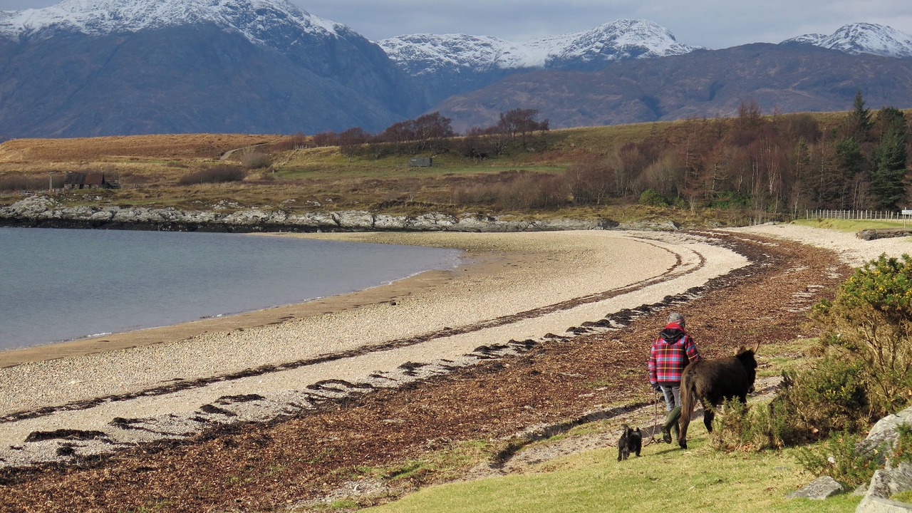 Photo of Others in Duror