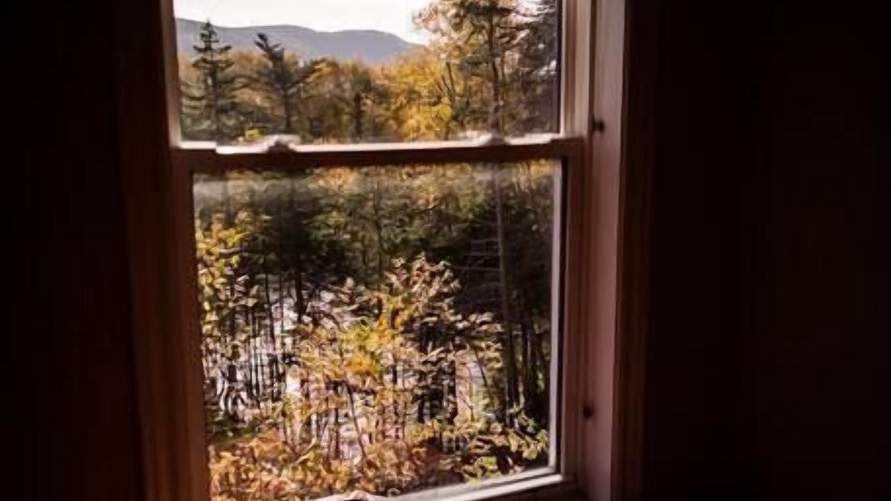 Photo of Others in Humber Valley