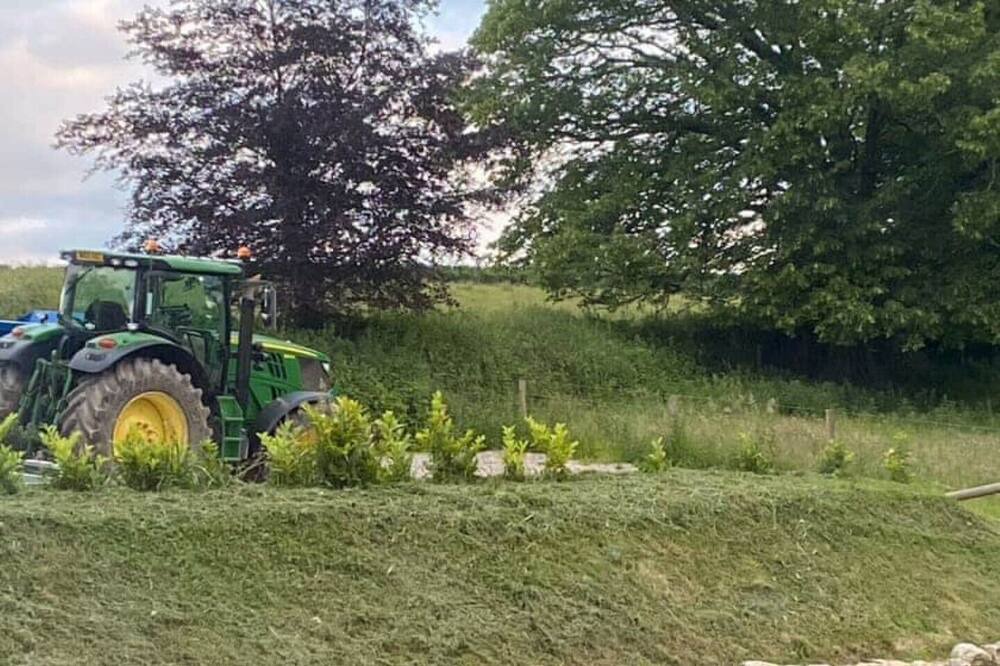 Photo of Outdoor in Ermington