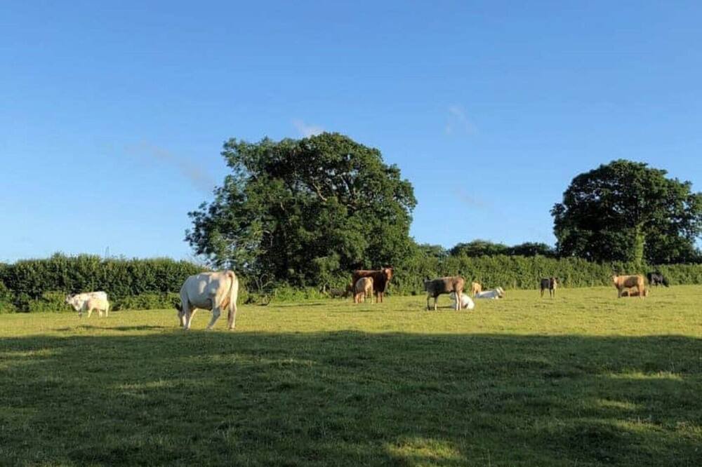 Photo of Outdoor in Ermington