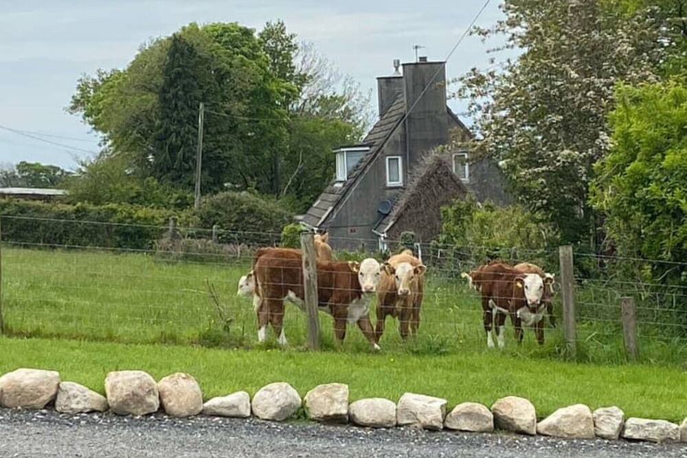 Photo of Others in Ermington