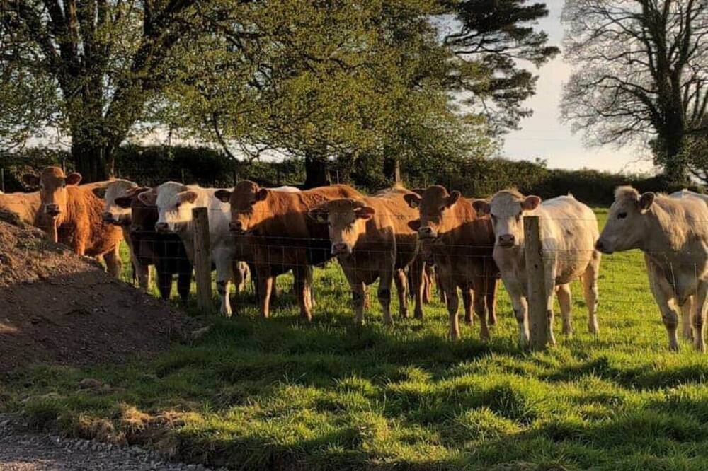 Photo of Outdoor in Ermington