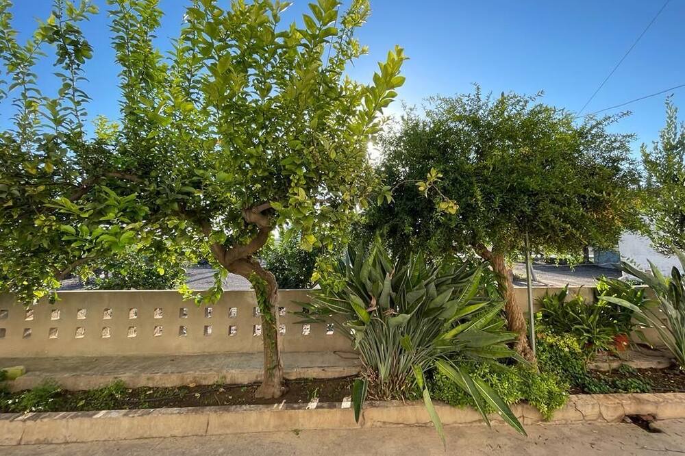 Photo of Outdoor in Meliana