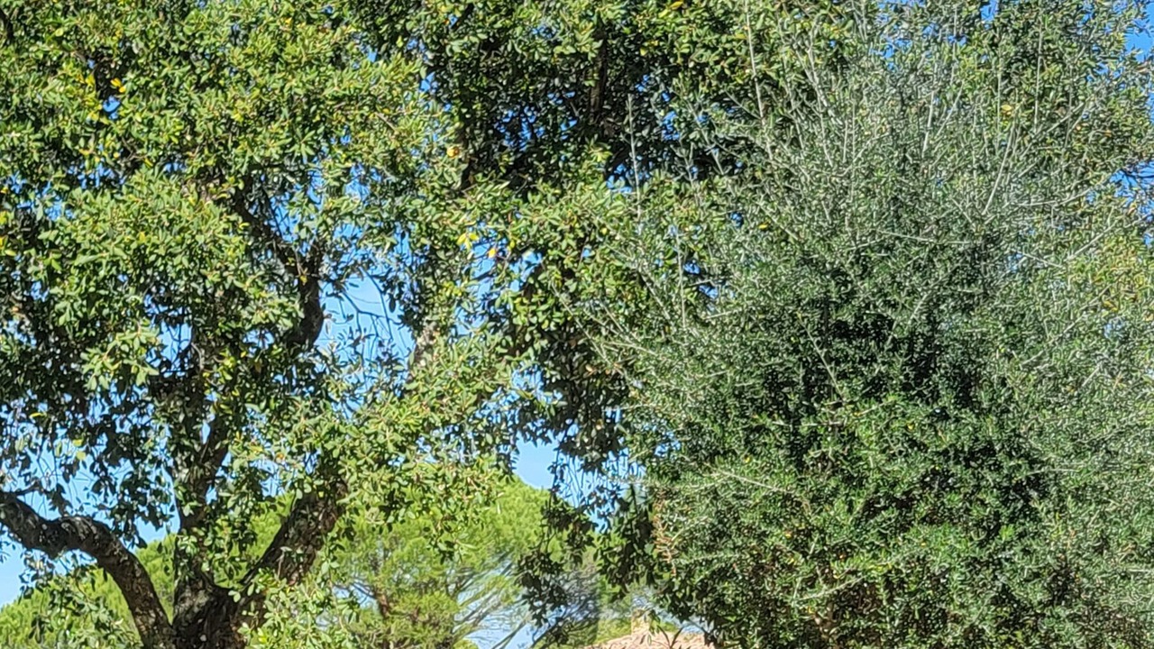 Photo of Outdoor in Vidauban