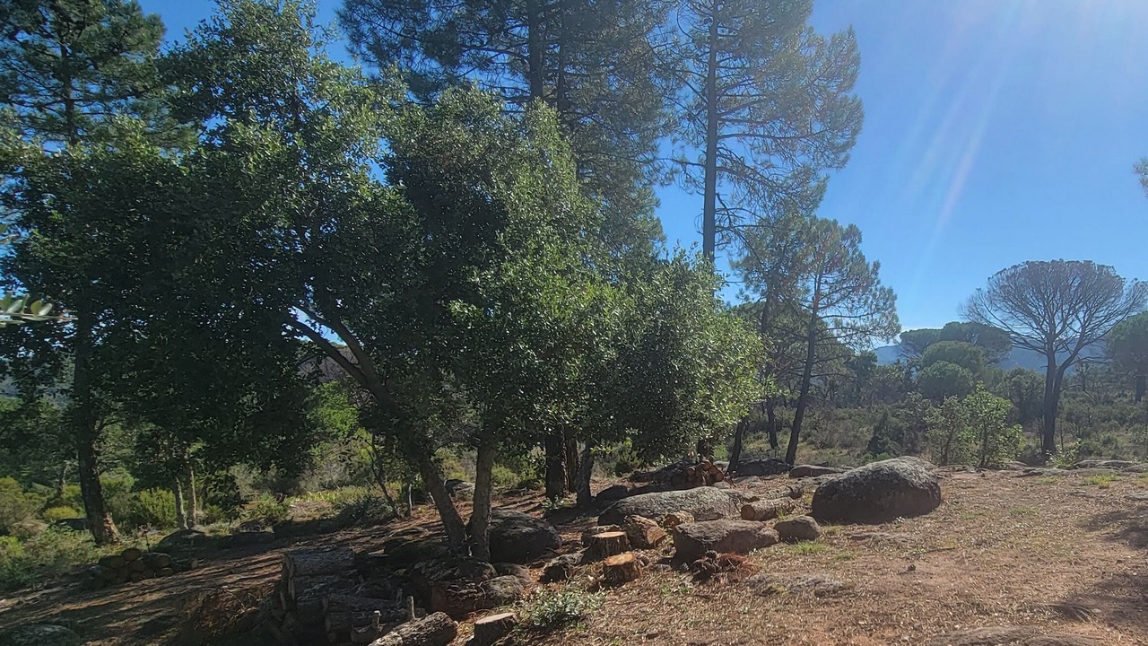 Photo of Outdoor in Vidauban