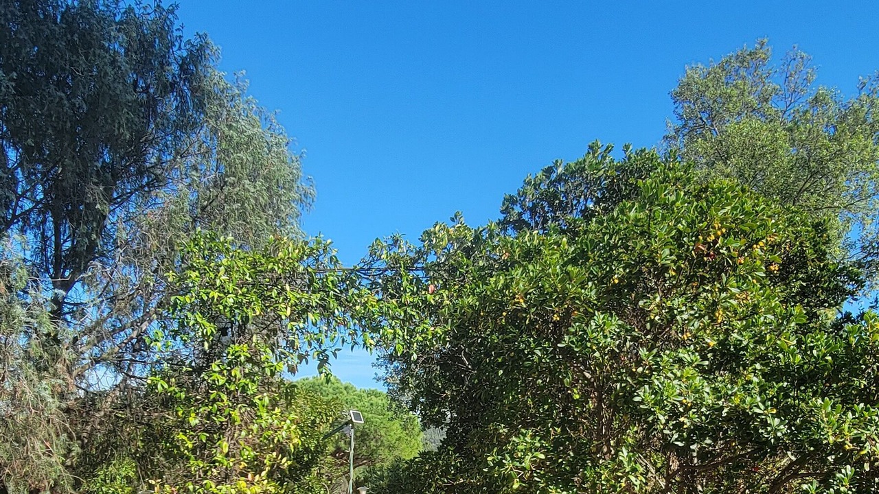 Photo of Outdoor in Vidauban