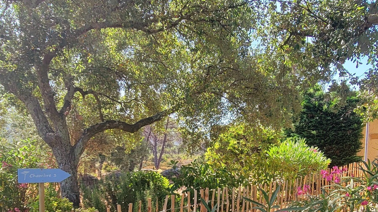 Photo of Outdoor in Vidauban