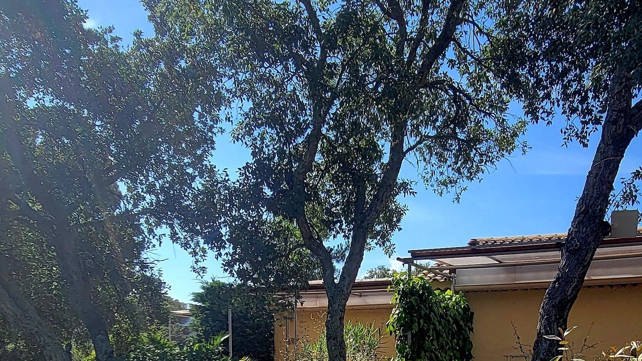 Photo of Outdoor in Vidauban