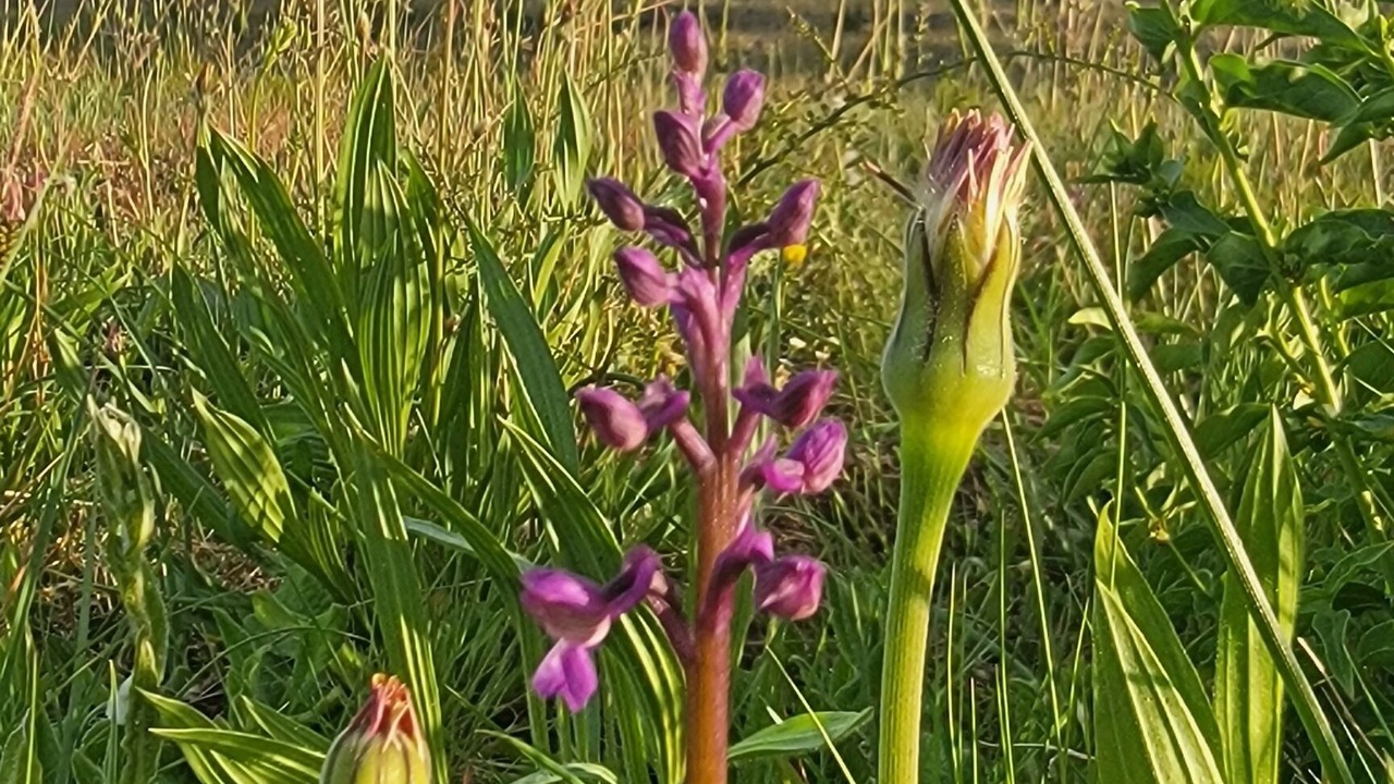Photo of Outdoor in Vidauban