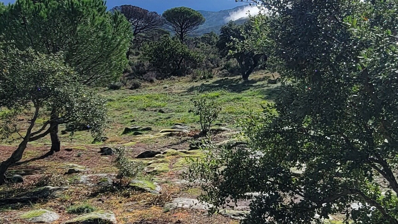 Photo of Outdoor in Vidauban