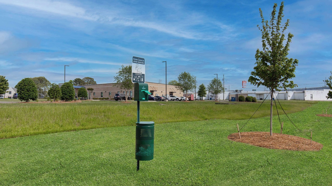 Photo of Outdoor in Albertville