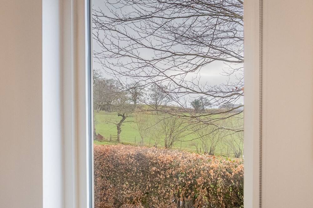 Photo of Others in Brampton