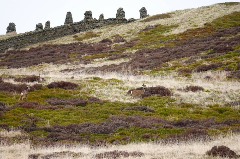Photo of Outdoor in Brampton