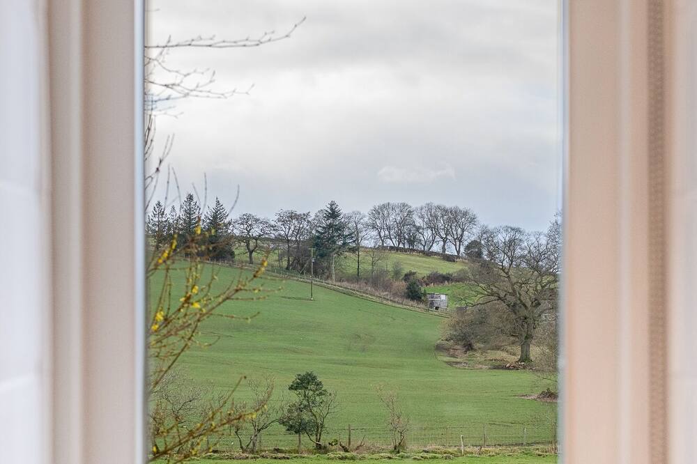 Photo of Others in Brampton