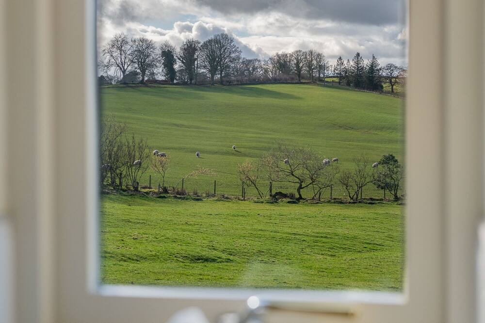 Photo of Others in Brampton