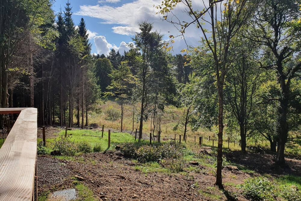 Photo of Others in Alloa