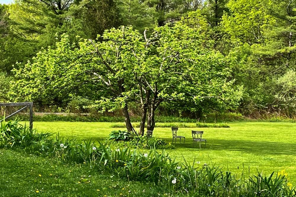 Photo of Outdoor in Burdett