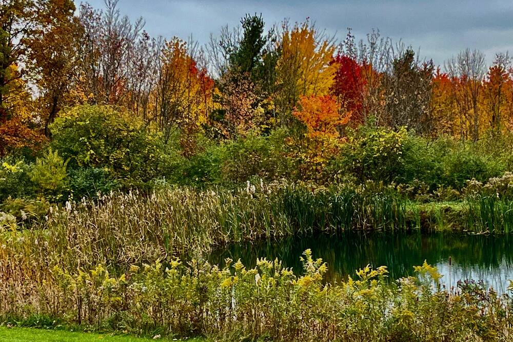 Photo of Outdoor in Burdett