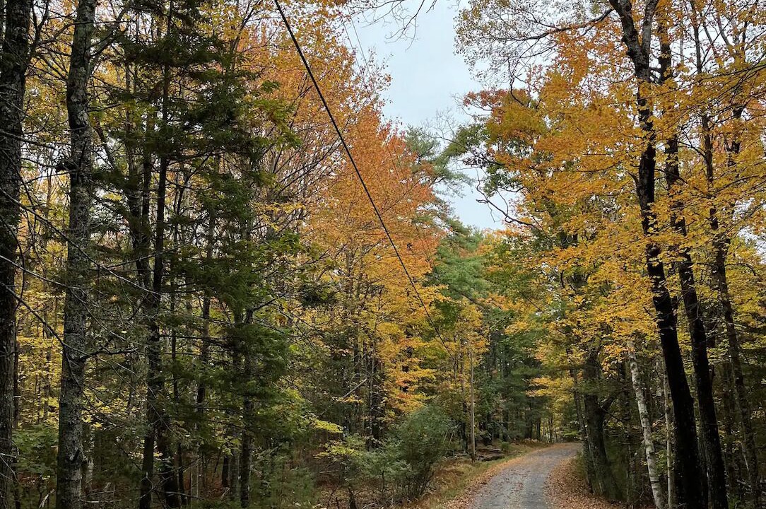 Photo of Outdoor in Mac Mahan