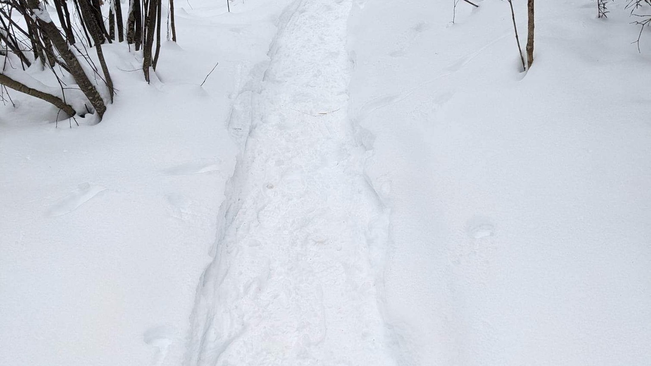Photo of Outdoor in Searchmont