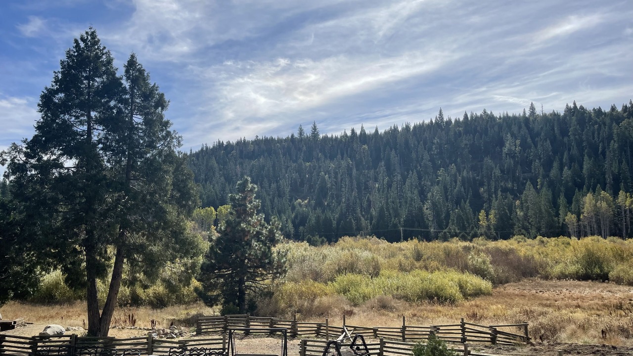 Photo of Bedroom in Emigrant Gap